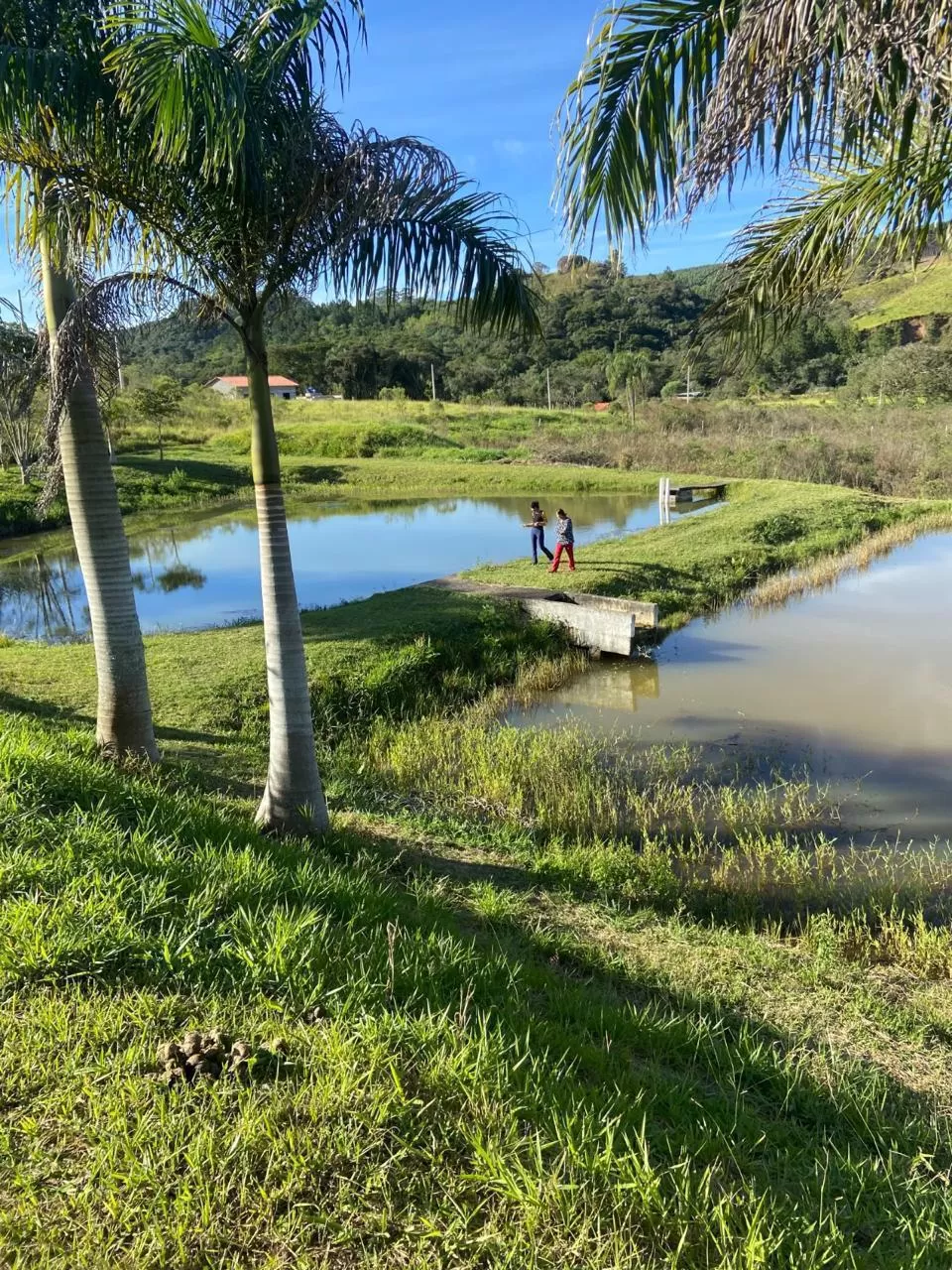 Terreno à venda no Condomínio Veneza em Votorantim/SP 